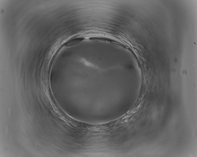 X0000075900241200609151418