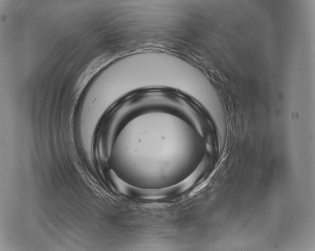 X0000075900242200609151418