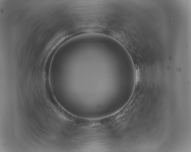 X0000075900243200609151418