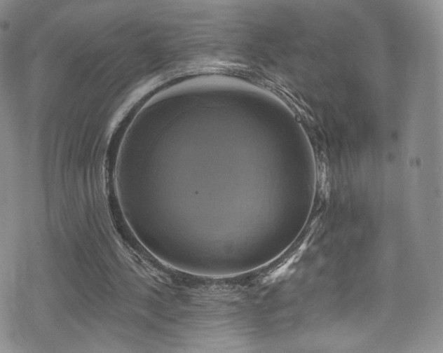 X0000075900244200609151418