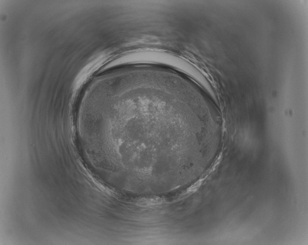 X0000075900245200609151418