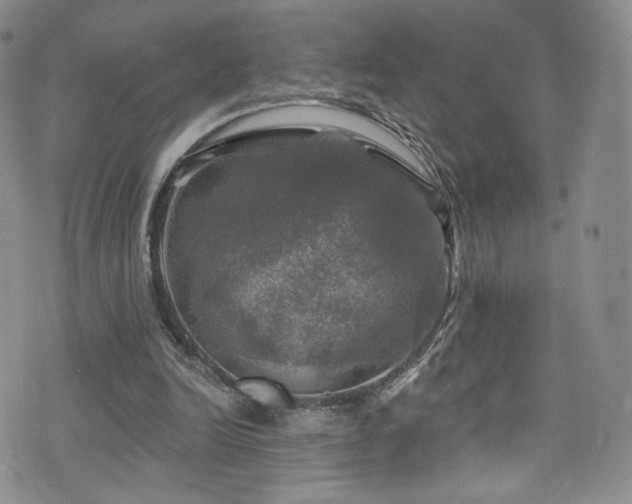 X0000075900246200609151418