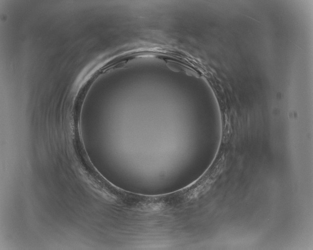 X0000075900247200609151418