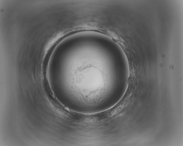 X0000075900248200609151418