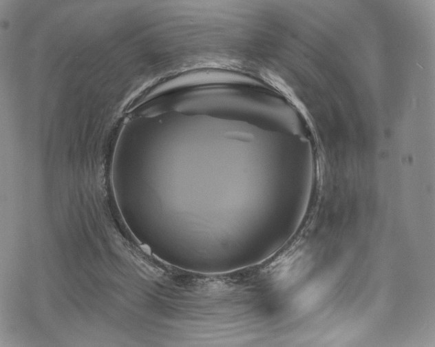 X0000075900249200609151418