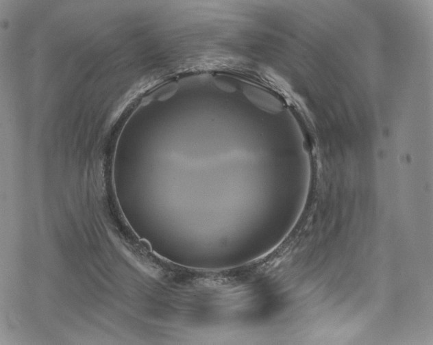 X0000075900250200609151418