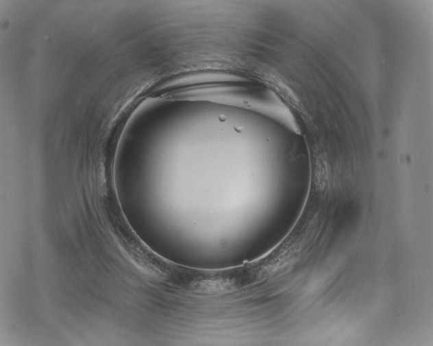 X0000075900251200609151419