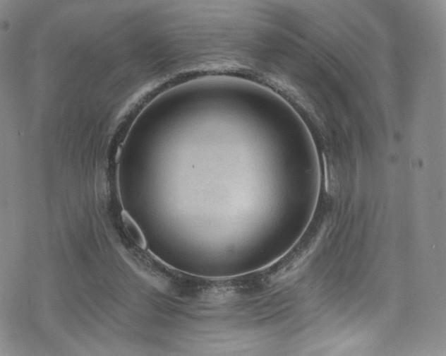 X0000075900252200609151419