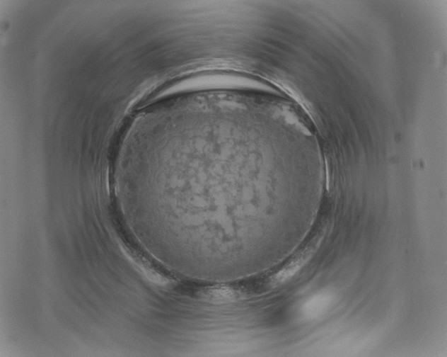 X0000075900253200609151419