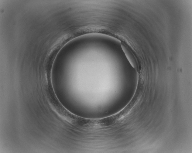 X0000075900254200609151419