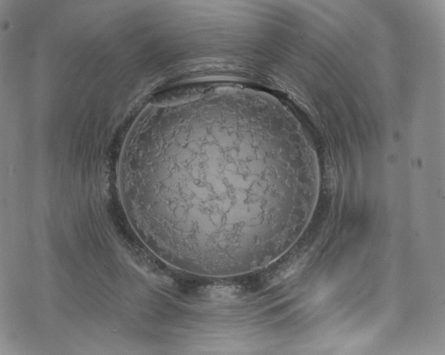 X0000075900255200609151419