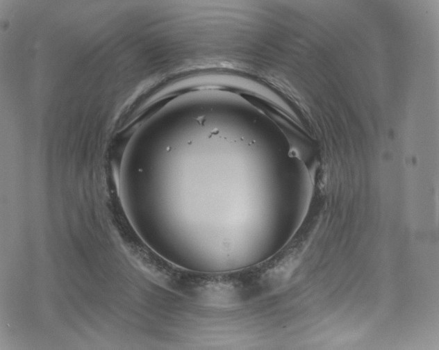 X0000075900256200609151419