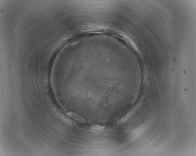 X0000075900257200609151419