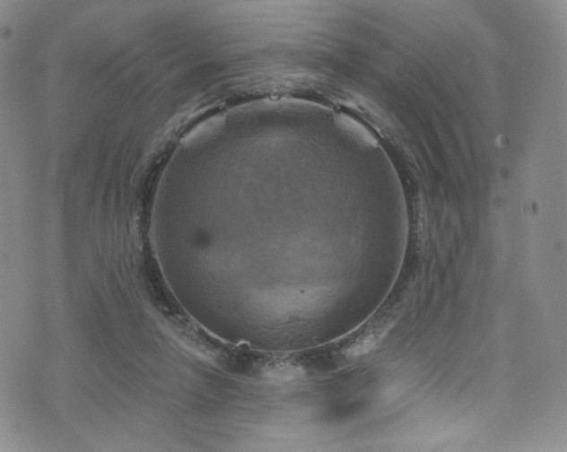 X0000075900258200609151419