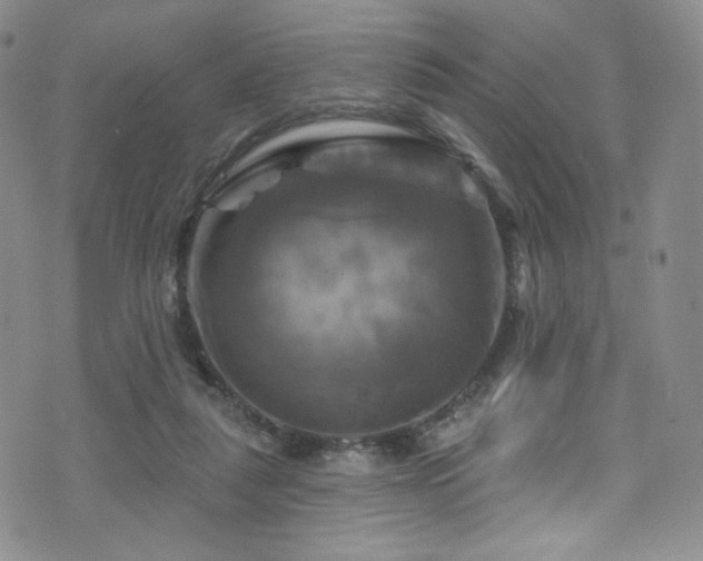 X0000075900259200609151419