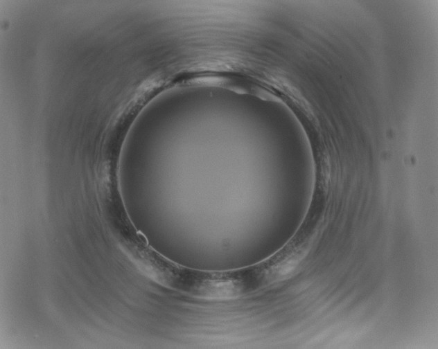 X0000075900260200609151419