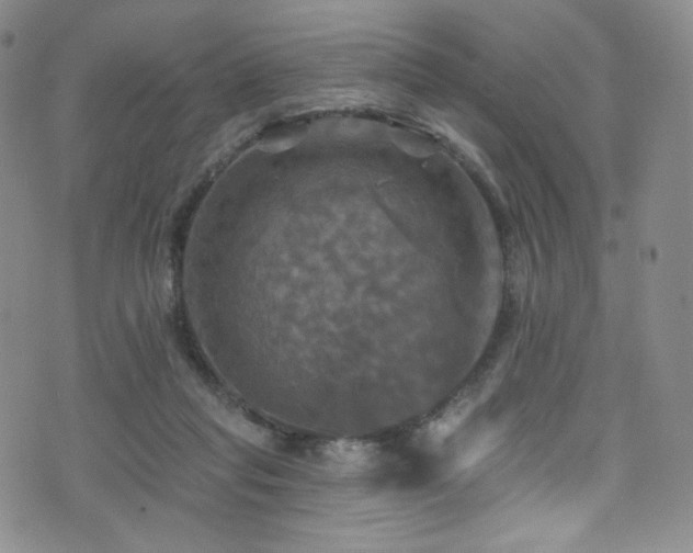 X0000075900261200609151419