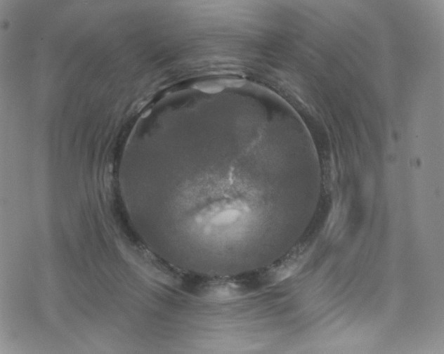 X0000075900263200609151419