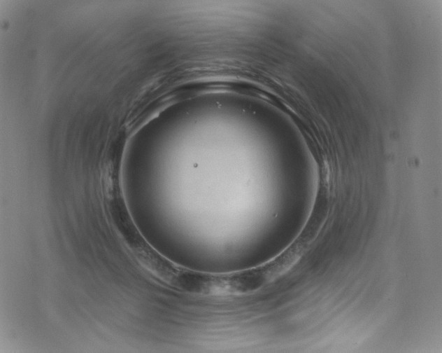 X0000075900264200609151419