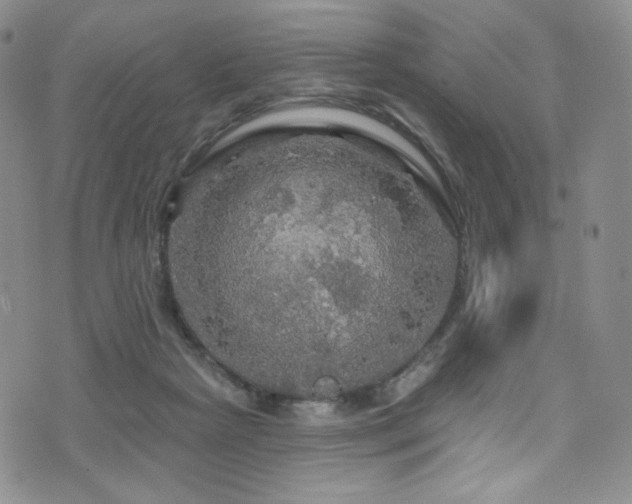 X0000075900265200609151419