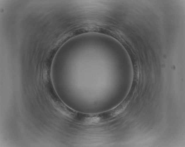 X0000075900266200609151419