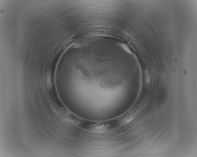 X0000075900267200609151419