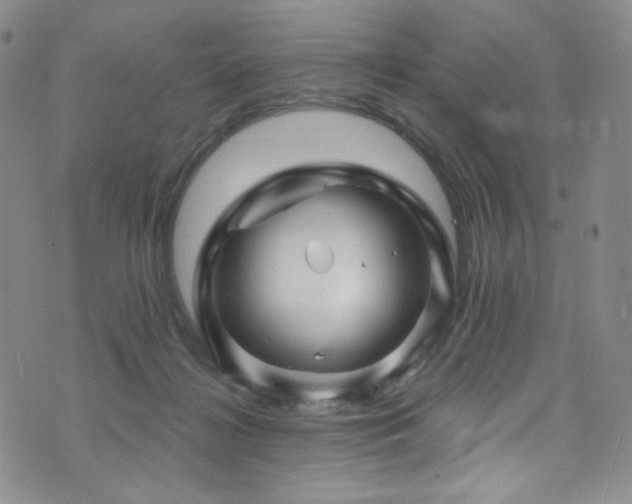 X0000075900268200609151419