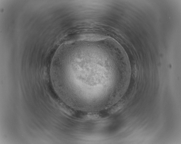 X0000075900270200609151419