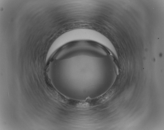 X0000075900271200609151419