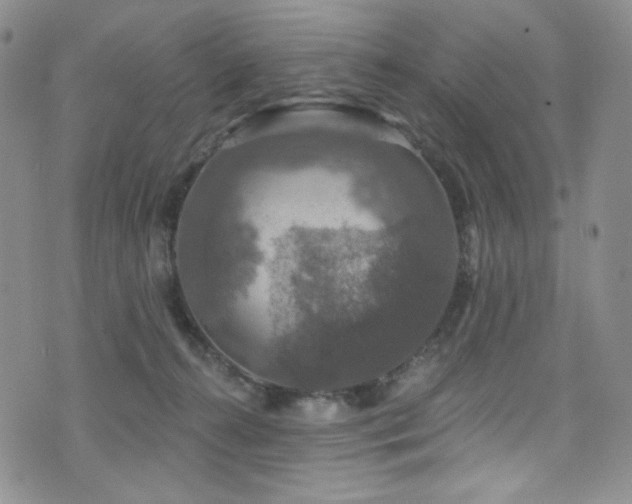 X0000075900272200609151419