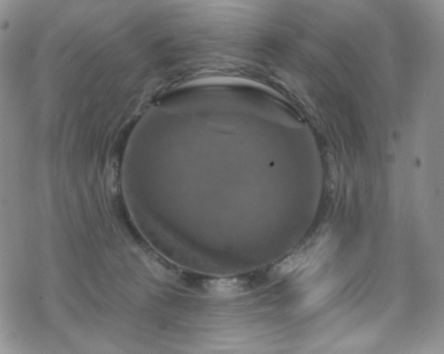 X0000075900273200609151419