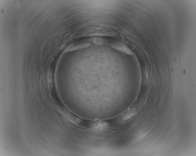 X0000075900274200609151419