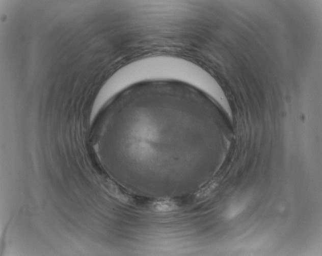 X0000075900275200609151419