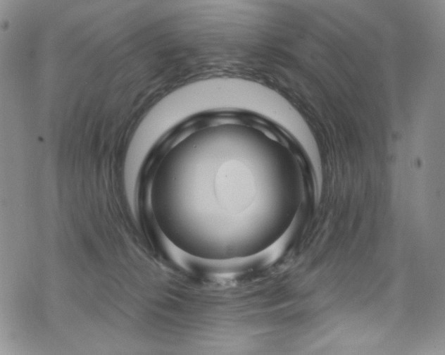 X0000075900276200609151419