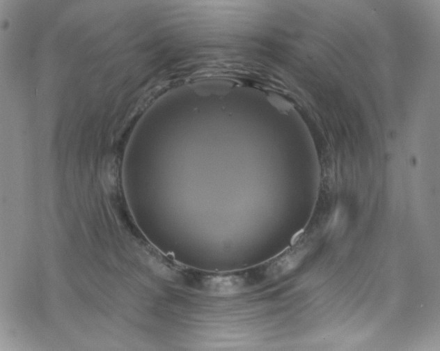 X0000075900277200609151419