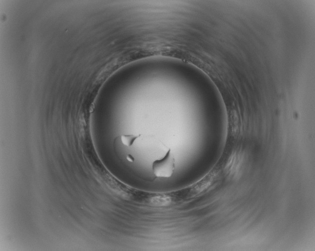 X0000075900279200609151419