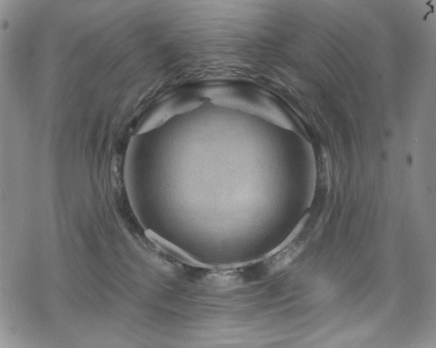 X0000075900280200609151419