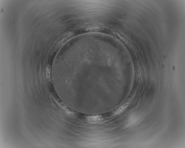 X0000075900281200609151419