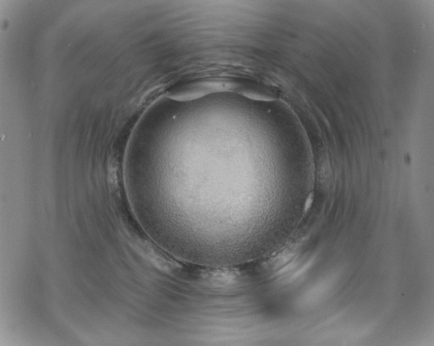 X0000075900282200609151419