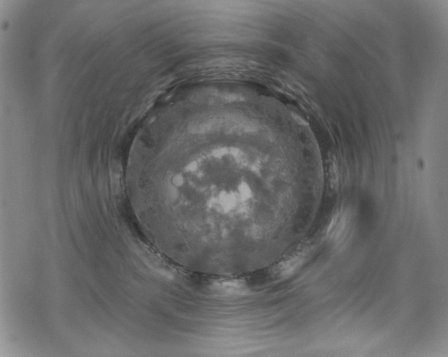 X0000075900283200609151419