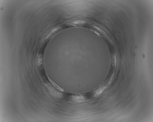 X0000075900284200609151419