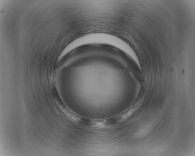 X0000075900285200609151419