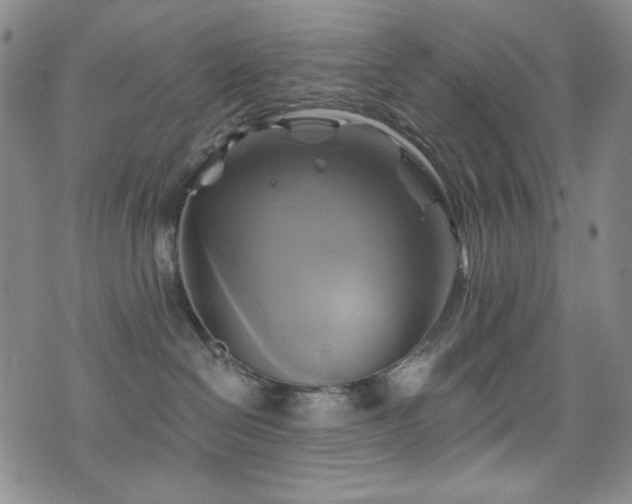 X0000075900286200609151419