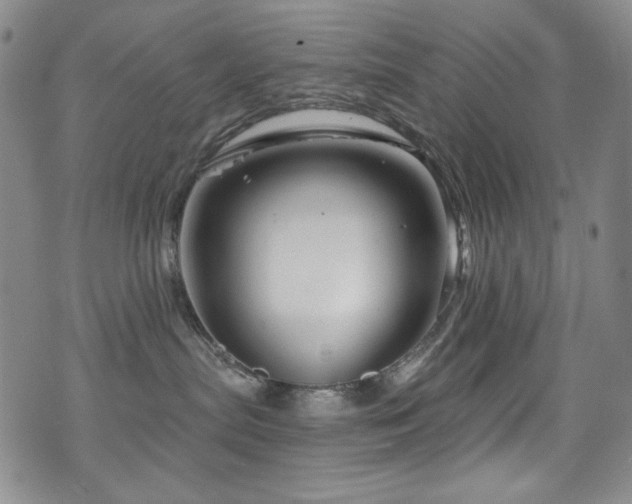 X0000075900287200609151419