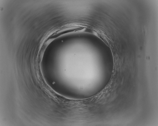 X0000075900289200609151418