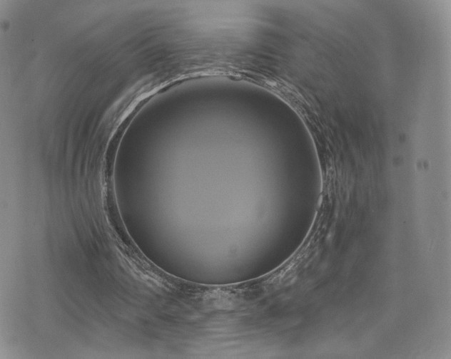 X0000075900290200609151418