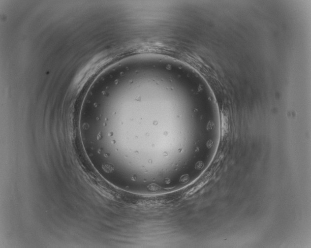 X0000075900291200609151418