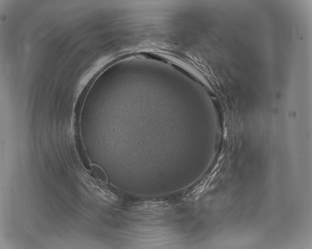 X0000075900292200609151418