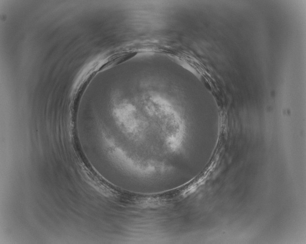 X0000075900293200609151418