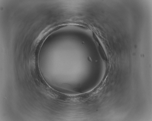 X0000075900295200609151418